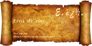 Erni Áron névjegykártya
